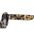 画像3: [FLUTTER] Acetate Narrow Oval Glasses  DEMI (3)