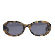 画像1: [FLUTTER] Acetate Narrow Oval Glasses  DEMI (1)