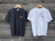 画像4: SYL Short-sleeve shirt White (4)