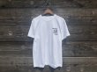 画像2: DOGTOWN Motorcycle BLACK FLAG Short Tee WHITE (2)