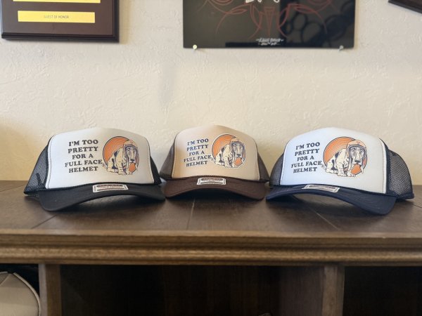 画像1: BEETLE Dog cap (1)