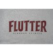 画像9: [FLUTTER] Origin logo B/S Sweat (9)